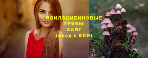 экстази Осинники
