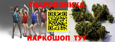 альфа пвп Волгодонск