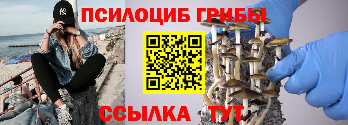 как найти закладки  Галлюциногенные грибы GOLDEN TEACHER  Вход с VPN  Псилоцибиновые грибы Psilocybine cubensis  Полевской 